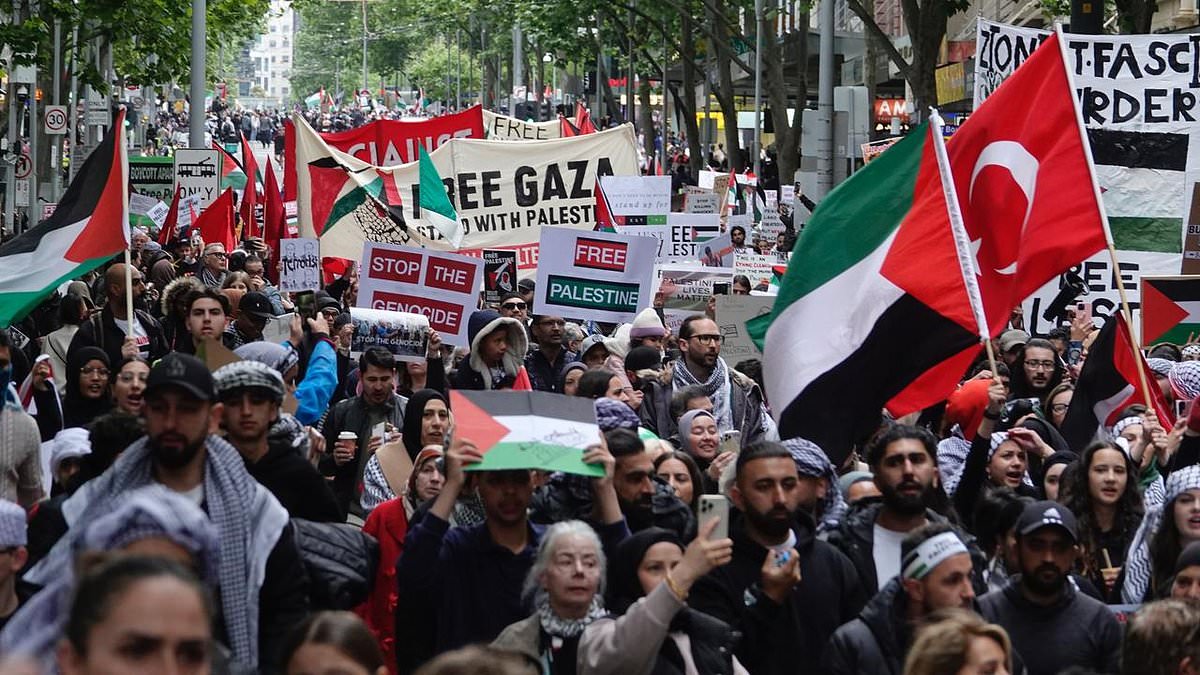 alert-–-pro-palestine-rally-in-melbourne-takes-off-as-conflict-in-israel-continues