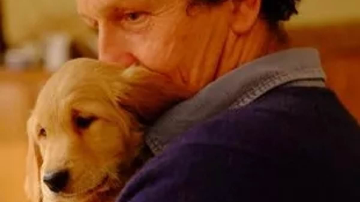 alert-–-bbc’s-monty-don-reveals-heartbreak-after-his-beloved-dog-nell-dies-after-battle-with-cancer