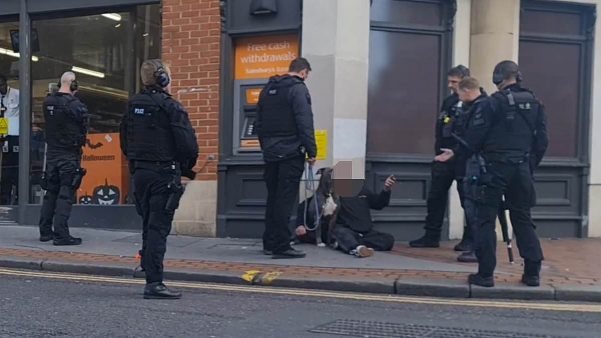 alert-–-moment-armed-police-seize-large-dog-after-it-‘attacked-puppy’-in-croydon