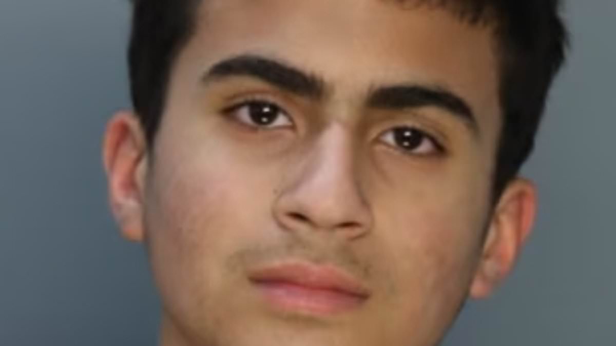 alert-–-chilling-911-call-made-by-florida-teen-derek-rosa-accused-of-‘stabbing-his-mom-multiple-times-to-death-in-front-of-his-newborn-sister’:-says-he-took-pictures-and-sent-them-to-friends