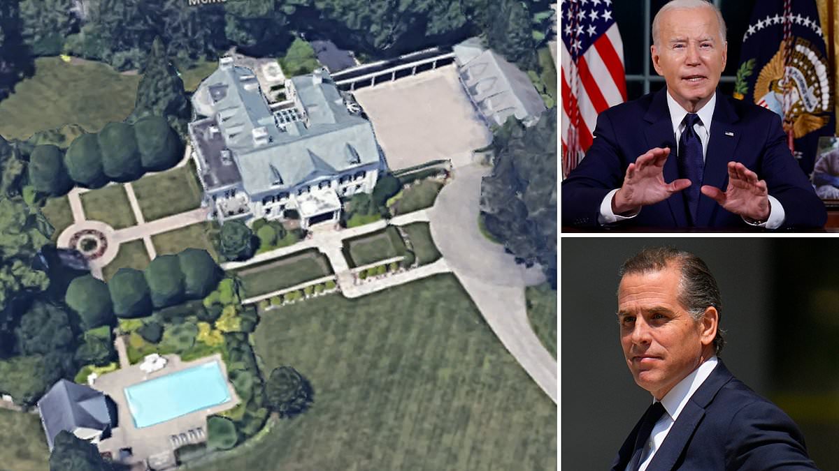 alert-–-exclusive:-joe-biden-sold-a-house-for-$12-million-in-1996-and-nearly-three-decades-later-it’s-still-only-worth-$1.65-million-–-did-he-get-paid-over-the-odds-by-a-donor?