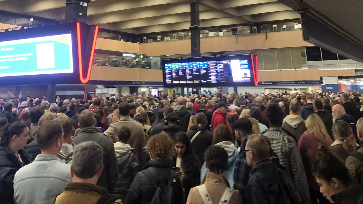 alert-–-london-euston-station-in-chaos-as-hundreds-of-passengers-are-left-stranded-after-bus-hits-railway-bridge-in-harrow,-sparking-huge-delays