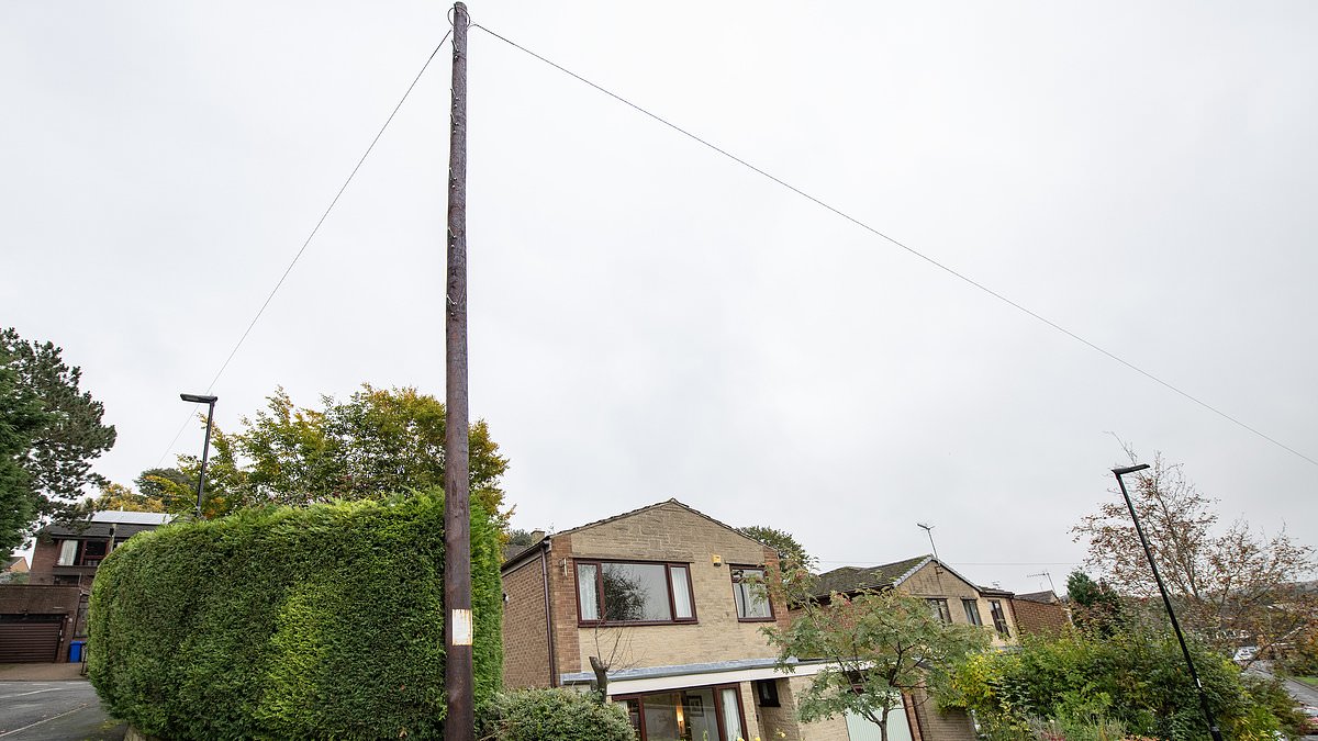 alert-–-furious-homeowner-returned-from-holiday-to-find-driveway-blocked-by-telecoms-workers-–-who-then-put-up-20-metre-telegraph-pole-outside-his-house-in-the-‘wrong-place’-after-neighbours-across-the-road-complained