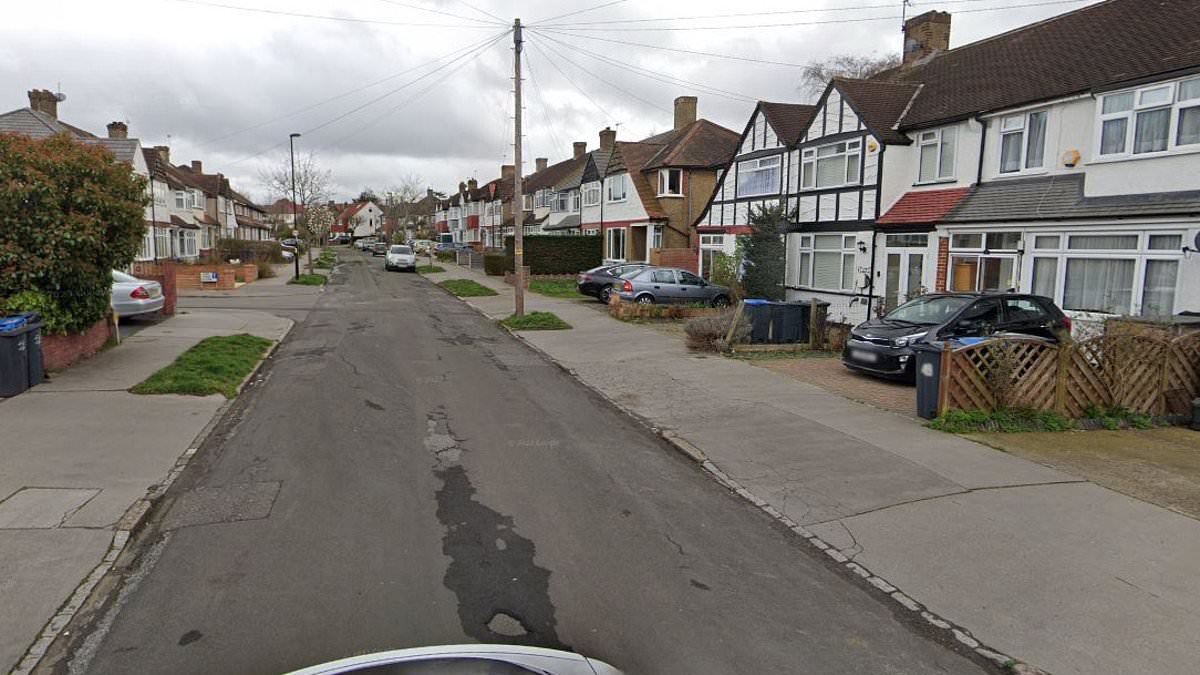 alert-–-teenager,-19,-who-recently-arrived-in-the-uk-from-india-is-found-dead-in-a-house-in-croydon-as-a-man,-23,-found-at-the-scene-with-a-minor-head-injury,-is-arrested-on-suspicion-of-murder