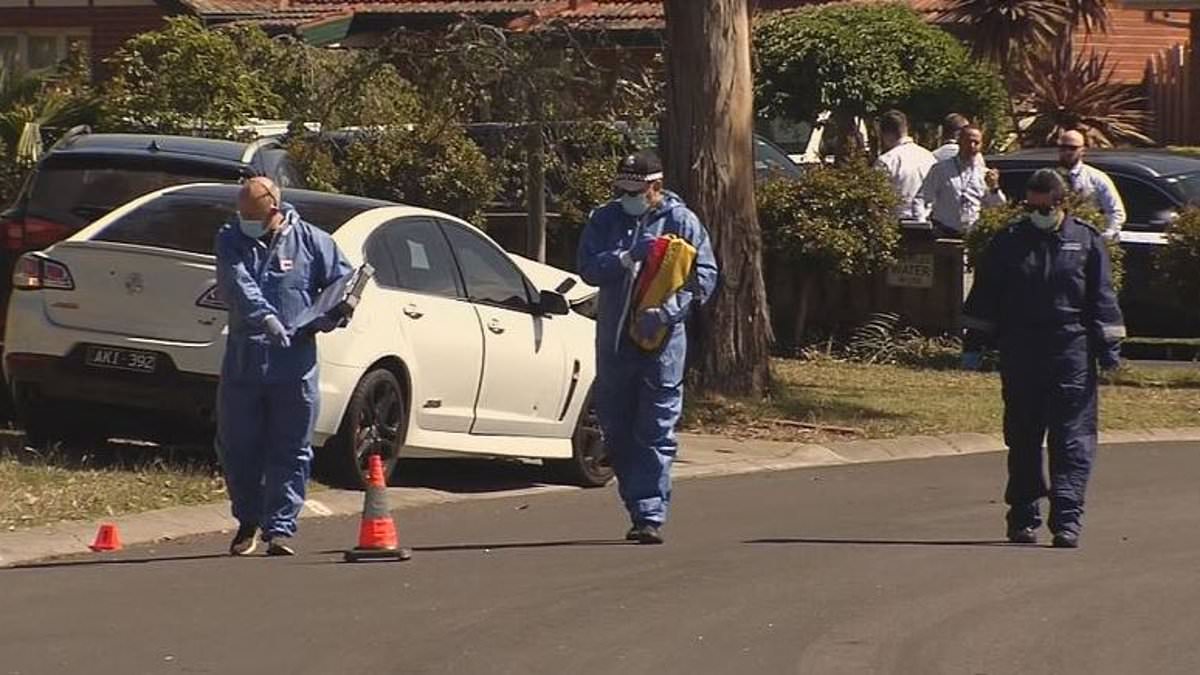 alert-–-keilor-lodge-shooting-in-melbourne:-young-couple’s-car-sprayed-with-bullets-in-alleged-targeted-attack