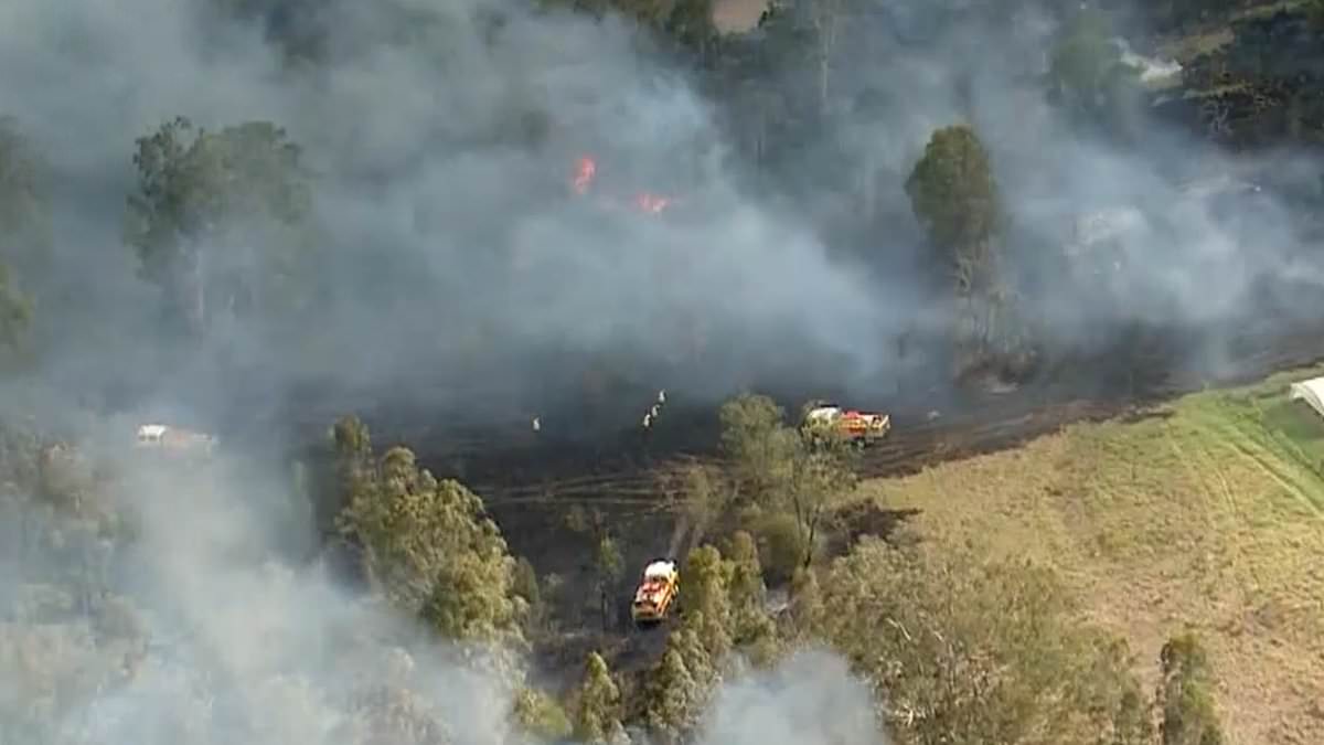 alert-–-the-oaks,-south-west-sydney:-massive-blaze-breaks-out