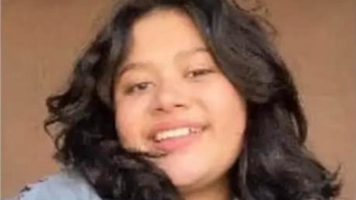 alert-–-4-american-children-go-missing-in-mexico-hours-after-leaving-house-in-chihuahua