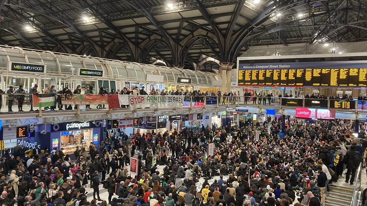 alert-–-pro-palestine-protesters-lock-down-london-liverpool-street-station-as-they-stage-sit-down-campaign-during-rush-hour