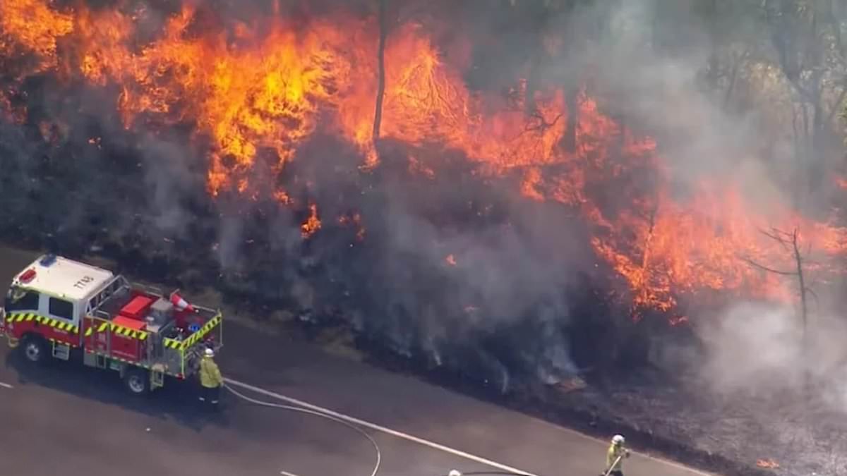 alert-–-orchard-hills-public-school:-fast-moving-grass-fire-forces-hundreds-of-kids-to-be-evacuated-from-western-sydney-school