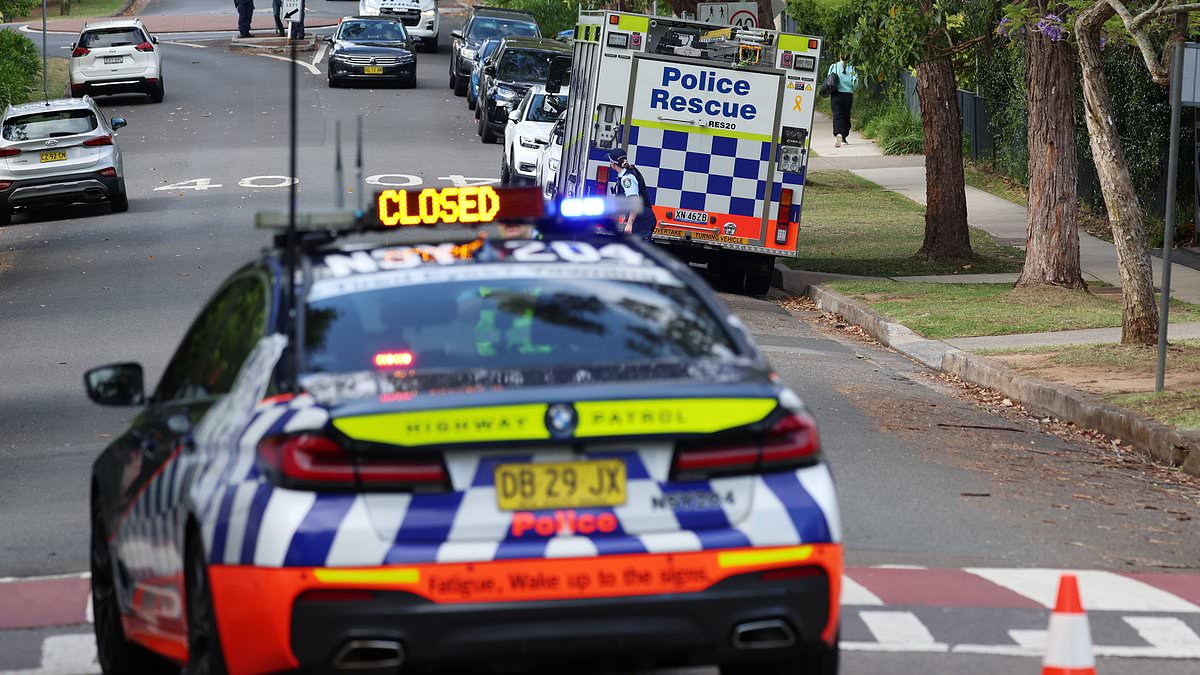 alert-–-st-lucy’s-school-in-wahroonga:-boy,-10,-dies-at-disabled-school-after-being-crushed-by-a-lift