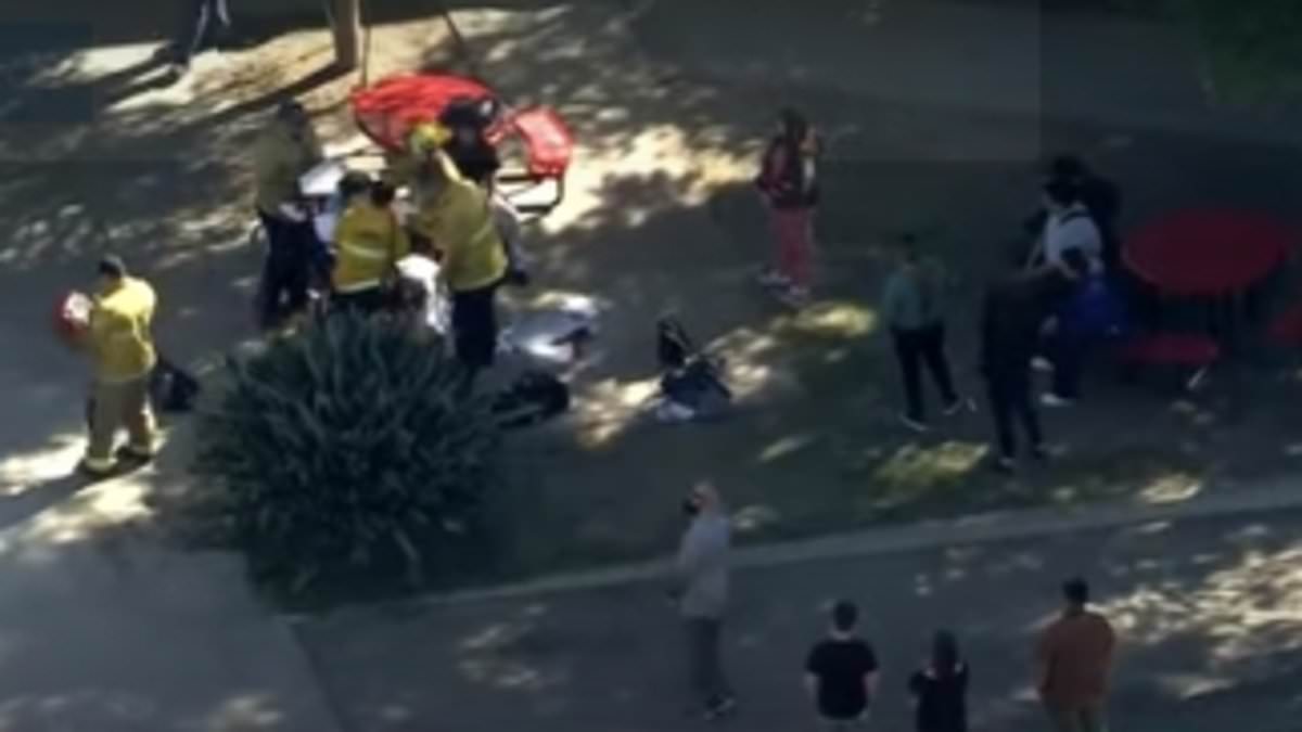 alert-–-multiple-students-are-stabbed-at-van-nuys-high-school-in-california:-suspect-on-the-run-as-campus-is-placed-on-lockdown