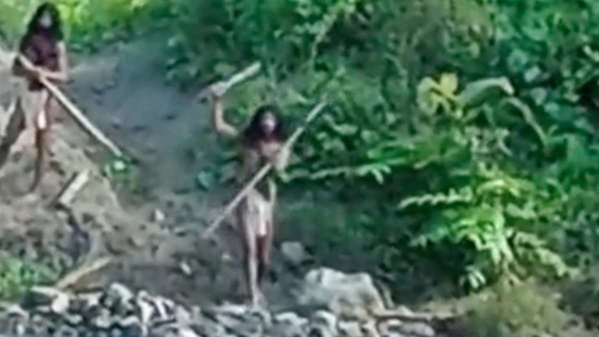 alert-–-moment-indigenous-tribe-threatens-workers-on-their-territory-in-indonesian-rainforest.-before-fleeing-when-bulldozer-driver-revs-engine-at-them