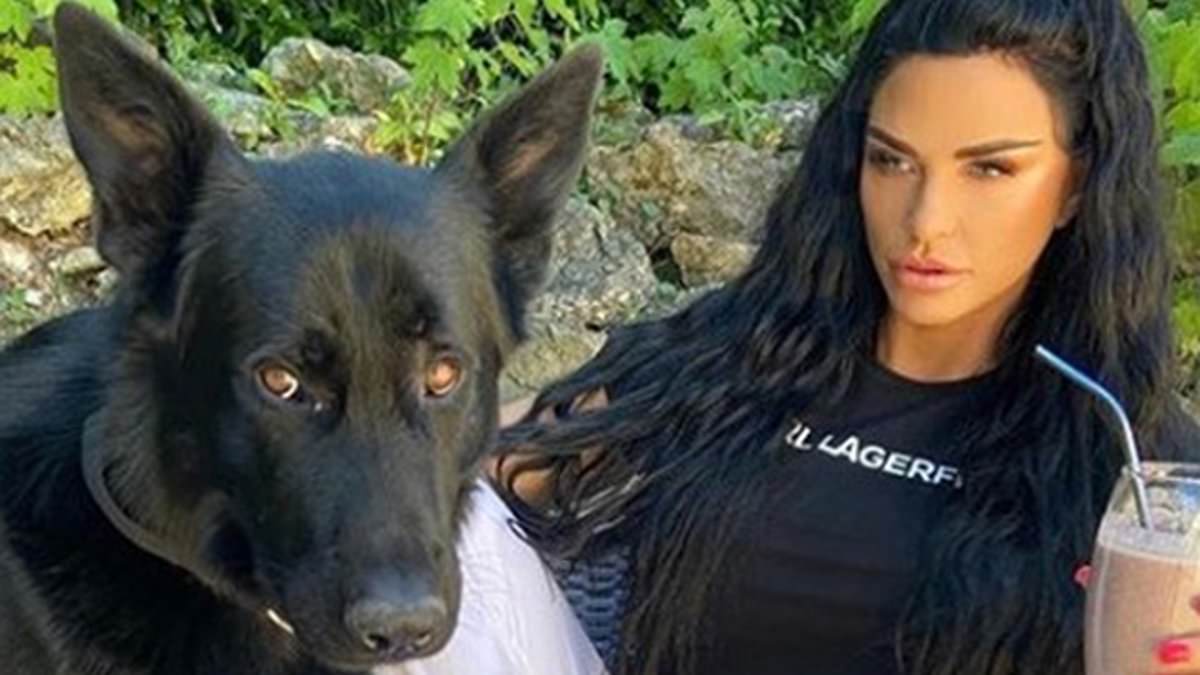 alert-–-katie-price-gets-seventh-dog-as-she-rescues-a-black-labrador-puppy-–-after-string-of-pet-deaths-at-her-home:-‘what-difference-is-another-one!’