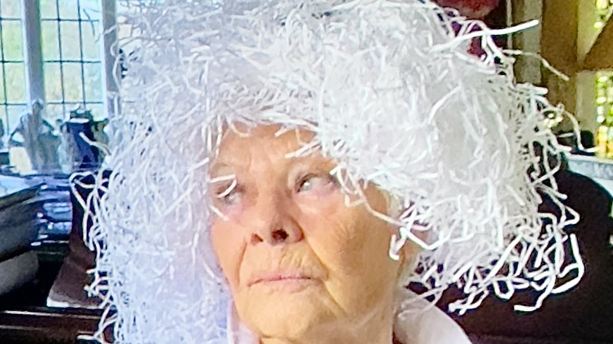 alert-–-dame-judi-dench-is-no-stranger-to-the-odd-wig-thanks-to-her-66-year-career…-but-this-one-may-be-her-wackiest-yet