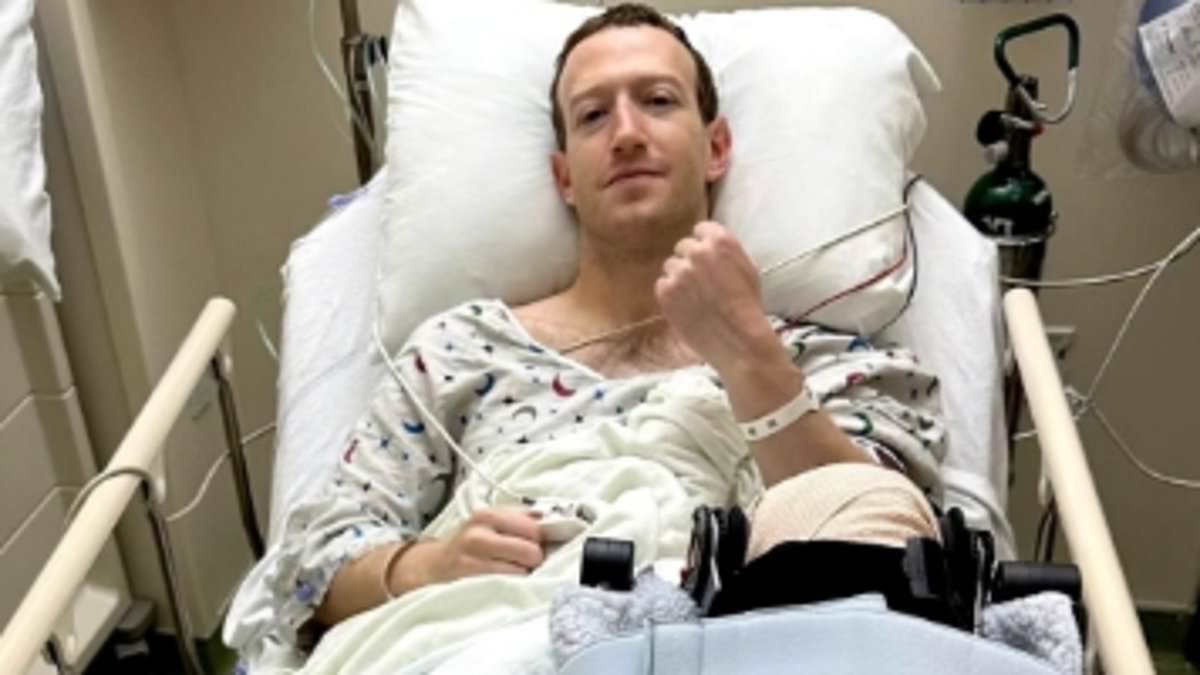 alert-–-mark-zuckerberg-tears-his-acl-while-mma-sparring-as-the-facebook-chief-undergoes-surgery…-days-after-elon-musk-reignited-super-fight-talk-with-‘anytime,-anywhere,-any-place’-jibe