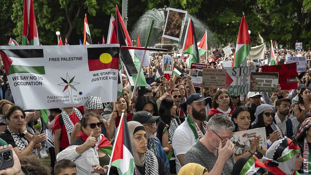 alert-–-thousands-at-pro-palestine-rally