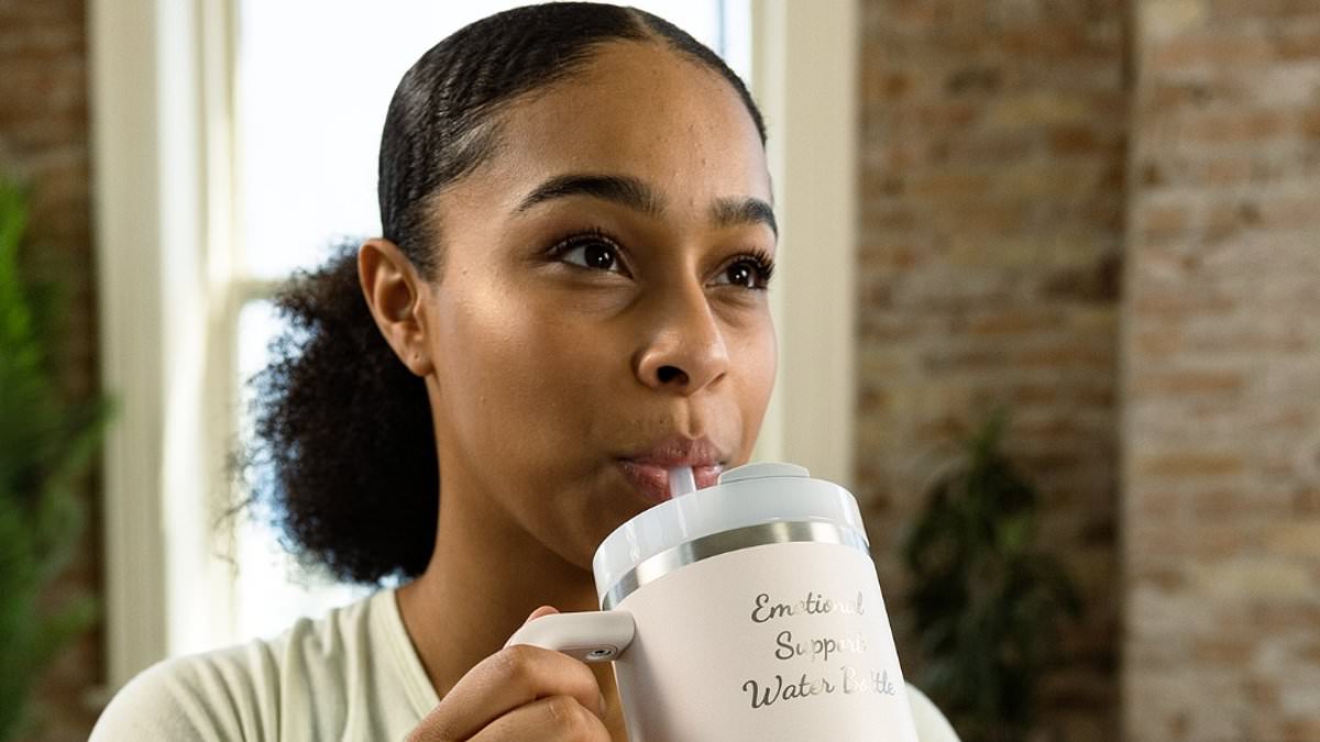 alert-–-students-say-owning-a-stanley-cup-can-make-you-‘more-popular’-–-but-those-with-fakes-face-being-bullied-as-drinkware-causes-heartache-for-middle-schoolers