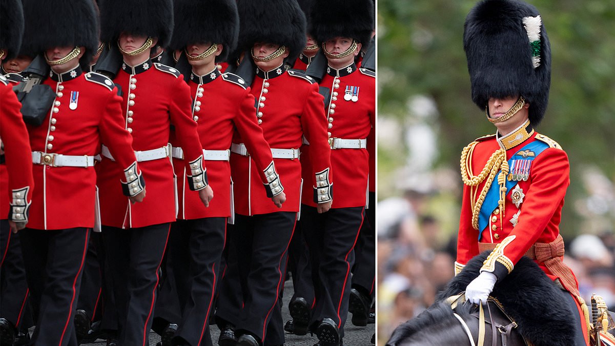 alert-–-from-speedos-to-an-alarm-clock:-soldiers-reveal-the-very-unusual-items-they-hide-in-their-iconic-bearskin-hats-as-campaigners-demand-they-are-replaced-with-fake-fur