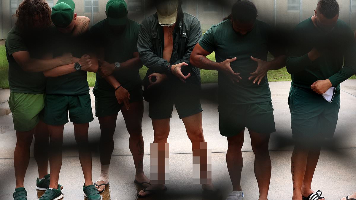 alert-–-inside-one-of-australia’s-toughest-prisons:-inmates-open-up-about-what-life’s-really-like-behind-bars-– -and-what-it-means-to-be-a-jail-‘ostrich’