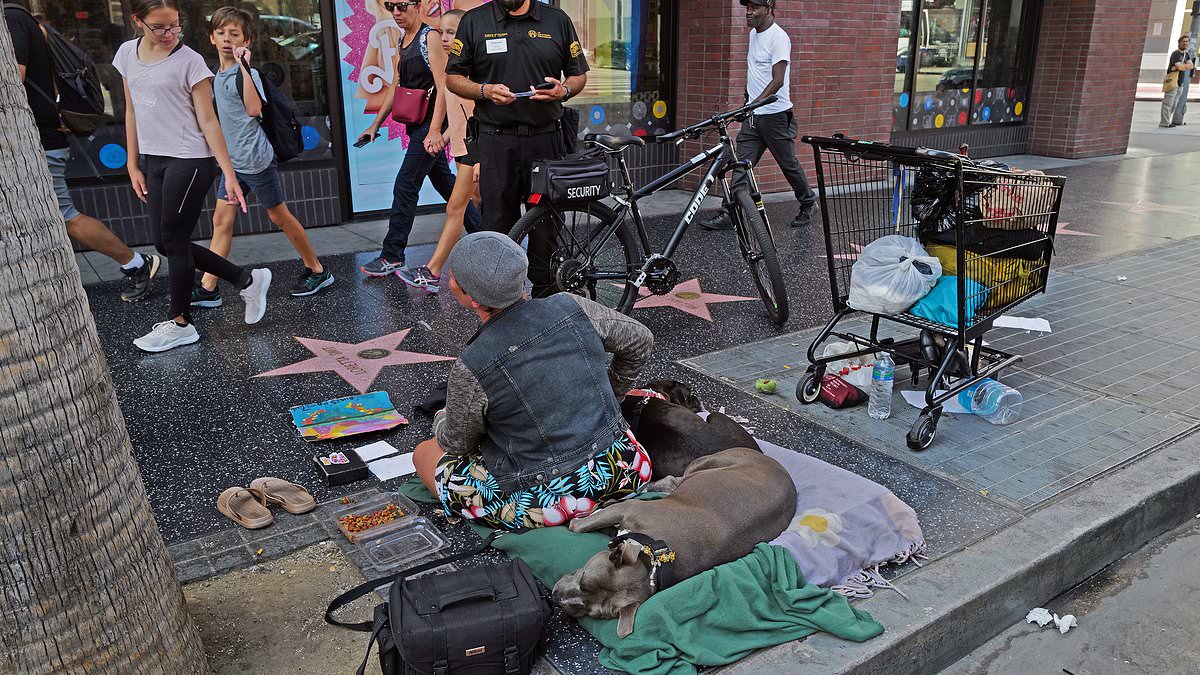 alert-–-hollywood’s-walk-of-shame:-once-glamorous-boulevard-is-filthy,-overrun-by-homelessness-and-struggling-to-cope-with-soaring-crime-after-police-patrols-were-halved-–-but-is-it-now-finally-getting-a-facelift?