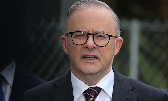 alert-–-anthony-albanese’s-government-urged-to-cut-tax-breaks-for-property-investors-in-a-bid-to-ease-the-housing-affordability-crisis