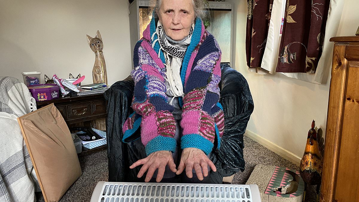 alert-–-elderly-and-disabled-residents-are-forced-to-use-their-ovens-to-keep-warm-after-sheltered-housing-heat-pump-broke-down-for-weeks