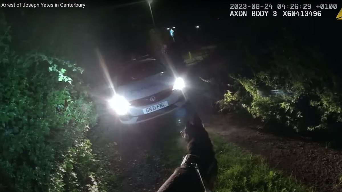 alert-–-dramatic-moment-would-be-burglar-is-arrested-after-he’s-tracked-down-to-middle-of-field-by-police-officer-and-her-dog-using-heat-seeking-drone