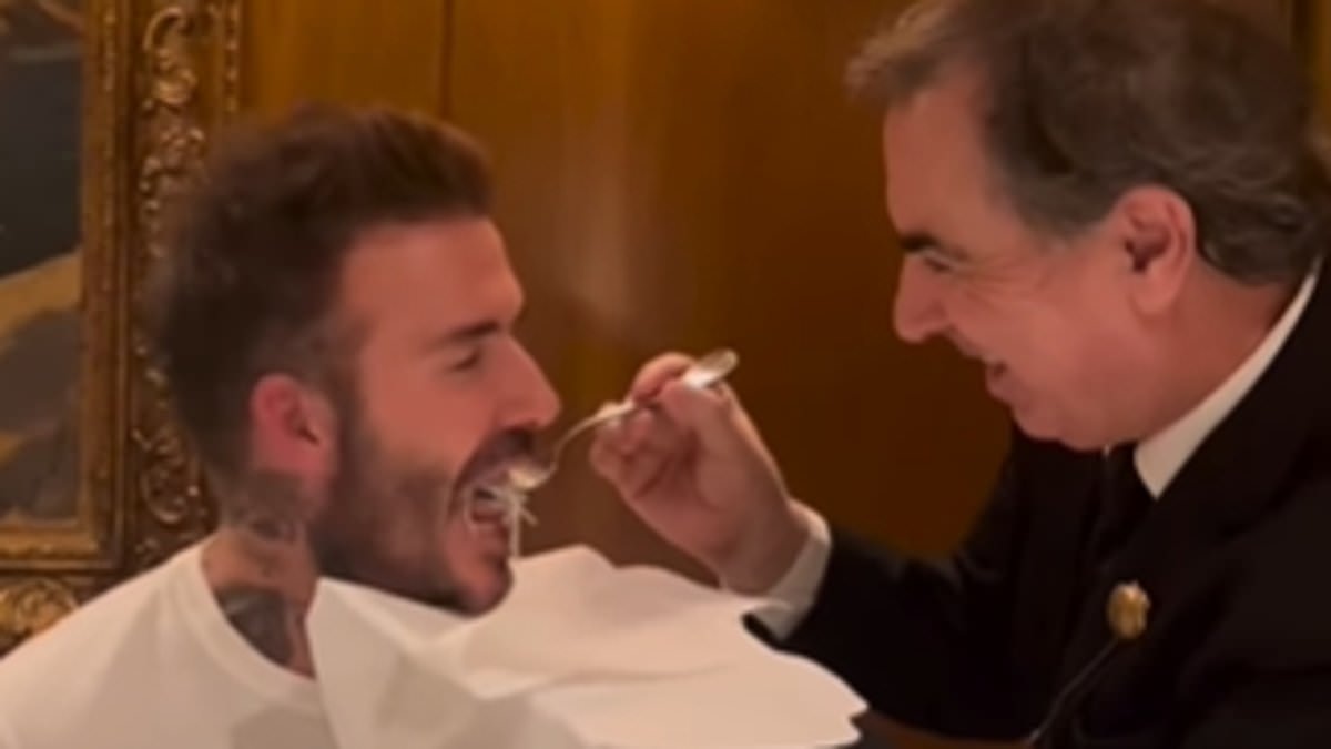 alert-–-david-beckham-tucks-into-a-very-expensive-and-bizarre-looking-seafood-delicacy-that-costs-up-to-400-per-lb-–-and-is-spoon-fed-baby-eels-by-an-attentive-restaurant-manager