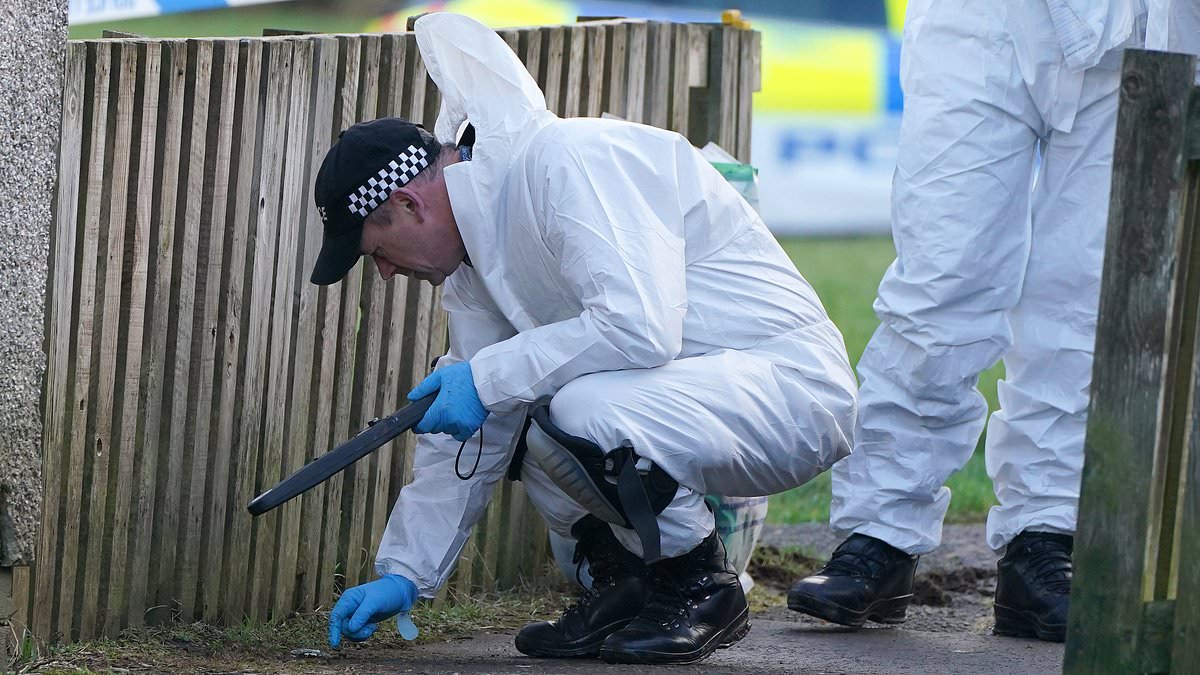 alert-–-shocking-moment-injured-dog-attack-victim-limps-into-shop-for-safety-after-being-savaged-by-‘xl-bully’-who-was-‘shipped-up-from-england’-days-earlier