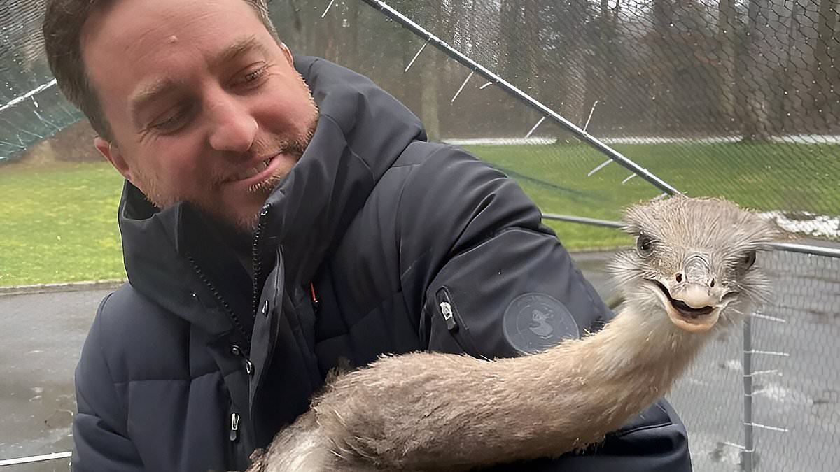 alert-–-‘wildlife-trafficker’-discovered-holding-at-least-100-animals-including-exotic-giant-birds-and-prairie-dogs-in-cramped-basement-of-his-long-island-home