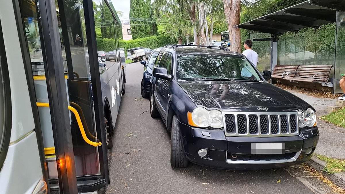 alert-–-three-‘bodybuilders’-praised-for-coming-to-the-rescue-of-a-disabled-bus-passenger-after-a-‘selfish’-driver-parked-right-in-front-of-the-stop