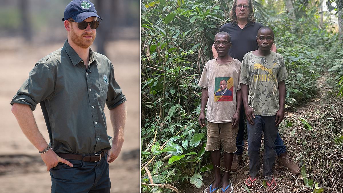 alert-–-harry’s-africa-charity-rangers-‘raped-and-beat-tribespeople’:-rainforest-families-claim-years-of-abuse-at-the-hands-of-guards-who-work-for-conservation-body-which-has-prince-as-a-director-–-and-beg-him-to-intervene