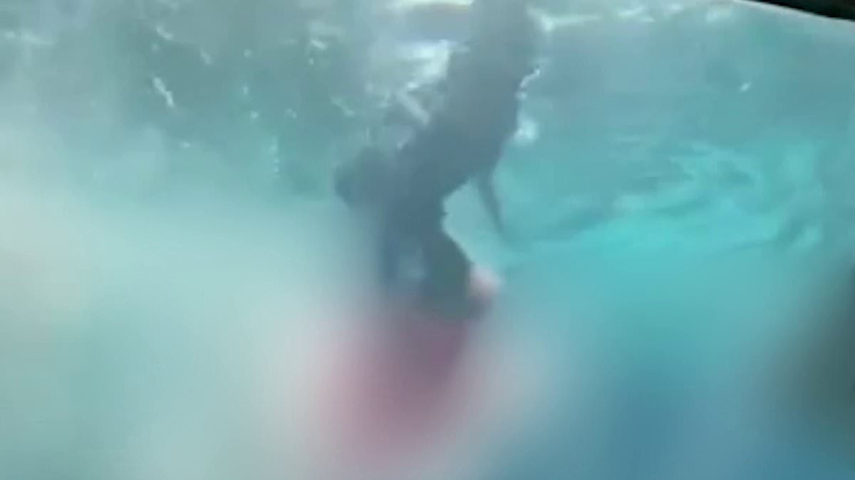 alert-–-horrifying-new-footage-shows-the-gruesome-moment-10-year-old-maryland-boy-is-dragged-out-the-shark-tank-at-bahamas-resort-as-the-bloodthirsty-beasts-circle-while-he-bleeds-out-from-his-leg