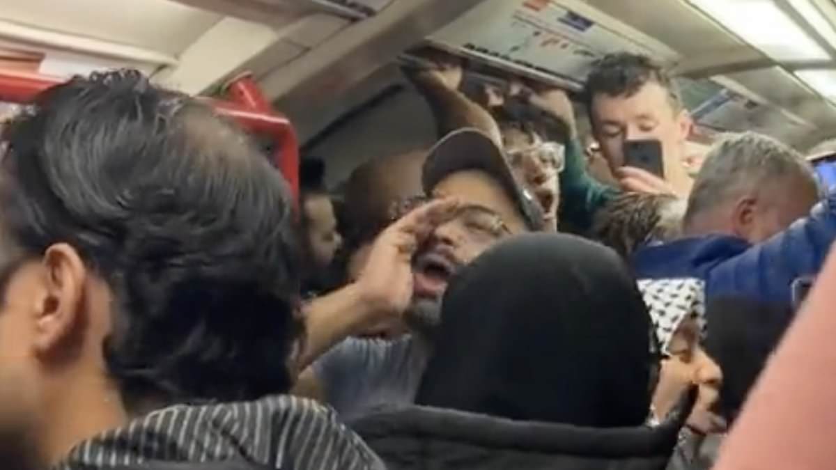 alert-–-suspended-tube-driver-who-sparked-fury-by-leading-anti-israel-‘free-palestine’-chant-on-underground-train-apologises-–-amid-calls-to-sack-him