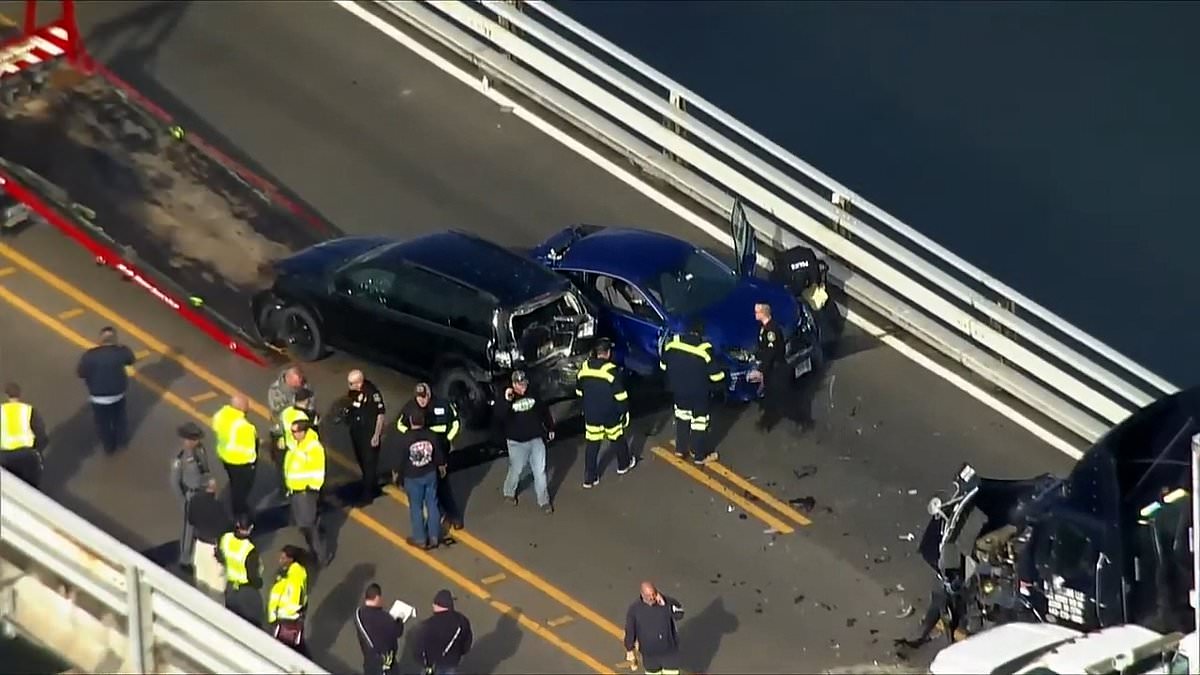 alert-–-frightening-video-shows-treacherous-bay-bridge-in-maryland-as-13-are-injured-in-40-car-pile-up-when-fog-eliminated-visibility-for-drivers