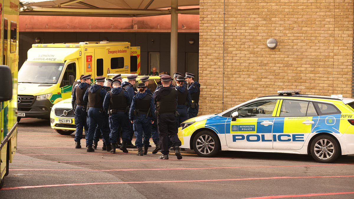 alert-–-dozens-of-officers-swoop-in-on-london-hospital-after-man-started-‘acting-aggressively’-before-being-hauled-to-court