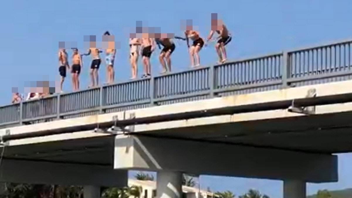 alert-–-noosa-sound-bridge-tragedy-as-man-dies-jumping-off