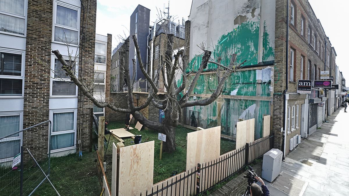 alert-–-banksy-locked-up:-plastic-screens-and-wooden-fencing-put-over-islington-mural-on-the-side-of-a-block-of-flats-as-residents-claim-local-council-‘thinks-a-piece-of-art-is-more-valuable-than-human-life’
