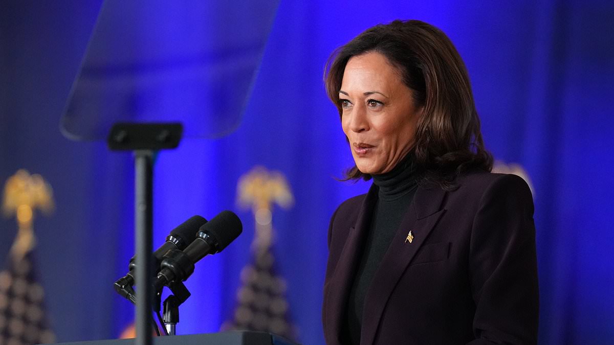 alert-–-‘ai-czar’-kamala-harris-launches-bid-to-protect-americans-from-racist-artificial-intelligence:-vp-demands-proof-the-technology-is-not-biased