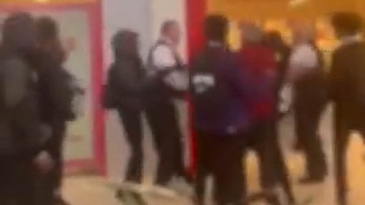 alert-–-moment-300-children-storm-shopping-centre,-causing-mayhem-by-charging-through-mall,-screaming-and-clashing-with-security-–-as-police-issue-dispersal-order-following-‘antisocial’-chaos