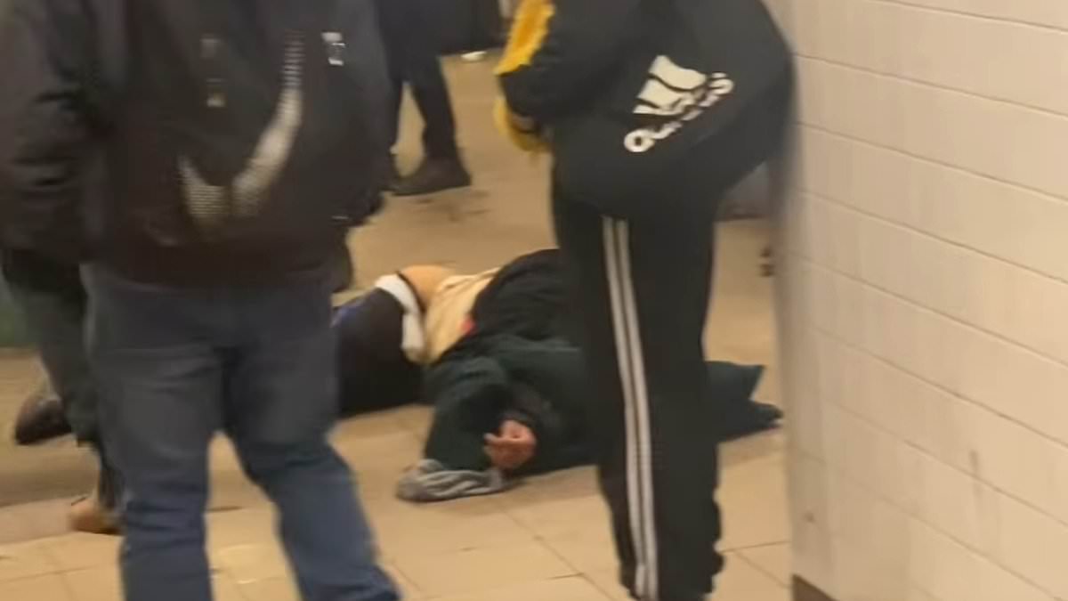 alert-–-horrifying-moment-nyc-subway-passenger-drags-unconscious-body-onto-the-platform-‘to-get-the-train-moving-again’