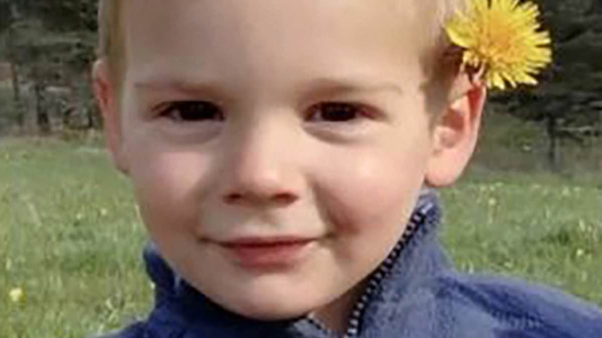 alert-–-remains-of-two-year-old-emile-soleil,-who-vanished-without-trace-eight-months-ago,-were-found-little-more-than-100-yards-from-his-grandparents’-house-in-french-alps,-local-mayor-suggests