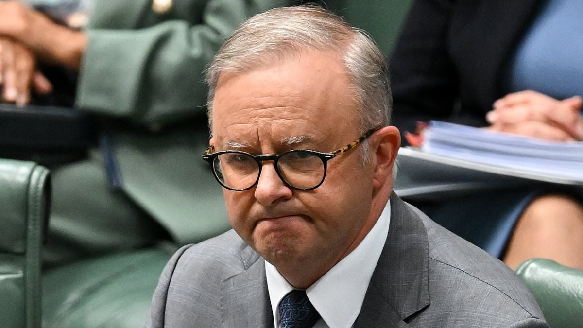 alert-–-could-this-be-why-anthony-albanese’s-government-is-dropping-in-popularity?-new-poll-shows-two-groups-are-turning-away-from-labor