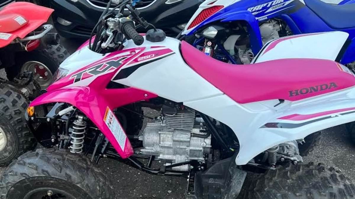 alert-–-five-are-arrested-as-more-than-one-hundred-atvs-descend-on-connecticut-city-for-latest-street-takeover-that’s-plagued-the-region:-spectators-shut-down-major-road-for-high-speed-races