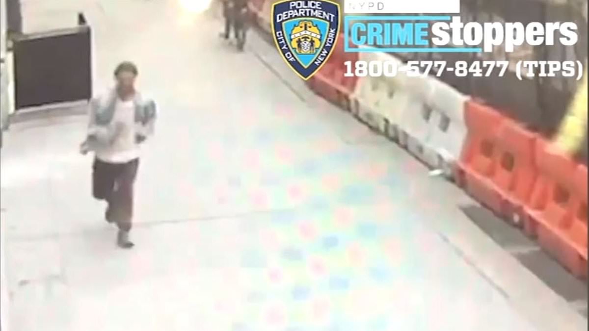 alert-–-horrifying-moment-suspect-who-punched-nyc-woman-in-the-face-in-wealthy-area-of-manhattan-is-seen-fleeing-the-scene-–-in-latest-shocking-attack-on-females-in-the-crime-ridden-city