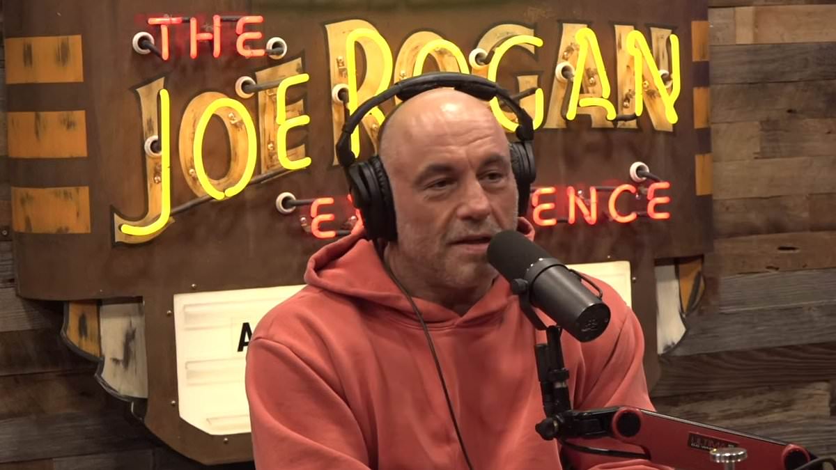 alert-–-joe-rogan-slams-the-view-as-a-‘rabies-infested-henhouse’-during-chat-with-brilliant-young-black-author-who-was-branded-a-‘charlatan-pawn-of-the-right’-by-sunny-hostin-for-his-anti-dei-views