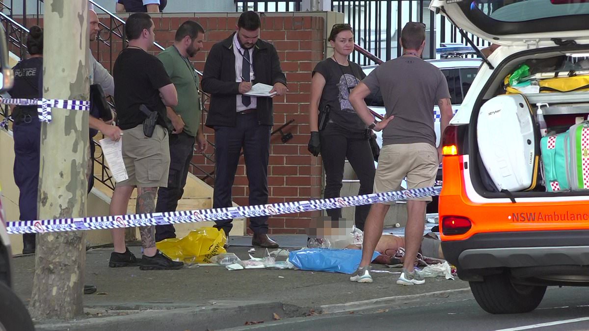 alert-–-doonside-school-stabbing:-shock-update-in-fatal-school-attack-that-left-one-teen-dead-and-another-seriously-injured