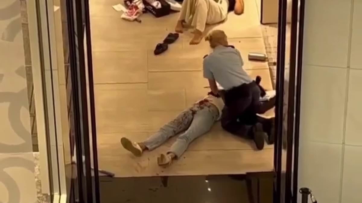 alert-–-westfield:-bondi-junction-stabbing:-how-hero-female-cop-single-handedly-took-down-a-killer-in-busy-shopping-mall