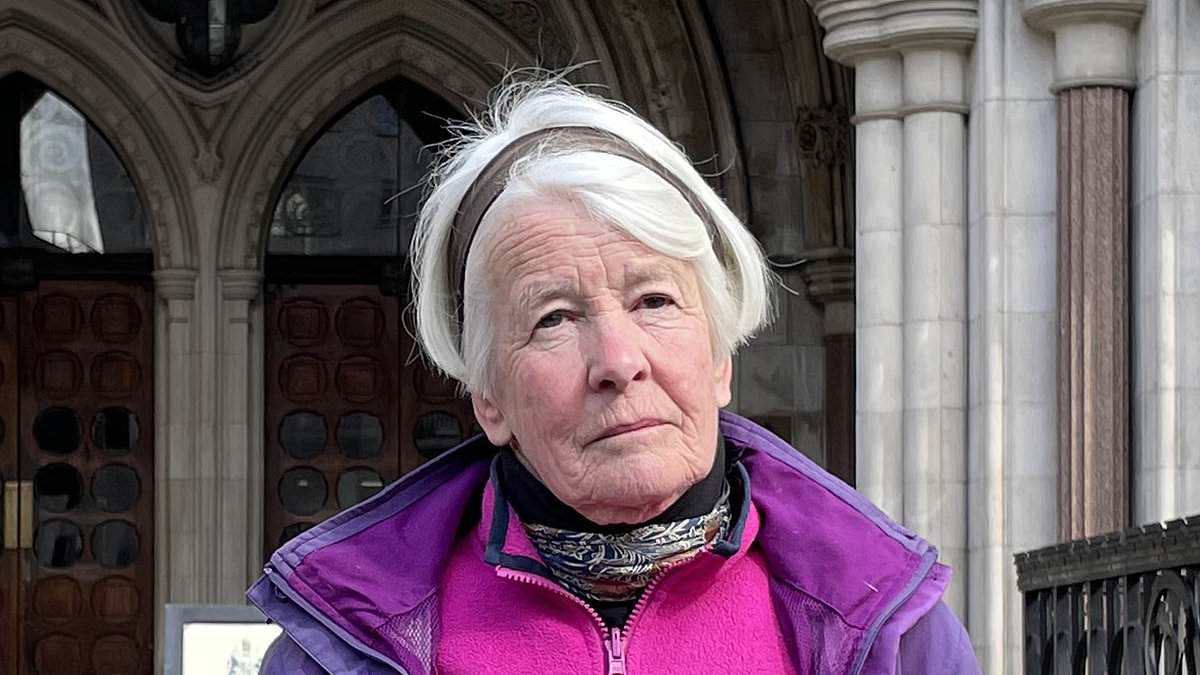 alert-–-protester,-69,-committed-contempt-of-court-by-using-a-sign-to-‘deliberately-target’-jurors-ahead-of-climate-change-trial-–-as-her-lawyer-tells-the-high-court-she-was-just-being-a-‘human-billboard’