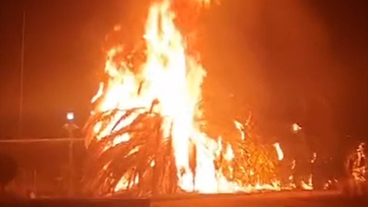 alert-–-st-kilda:-iconic-palm-trees-damaged-by-fire-along-seaside-promenade-in-melbourne